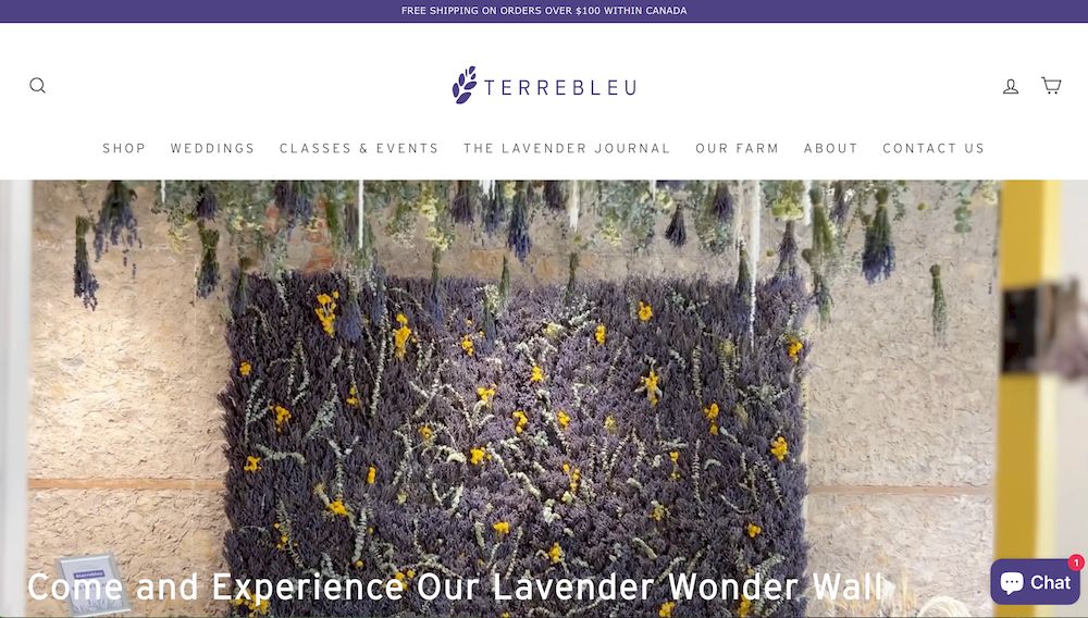 shopify store Terre Bleu